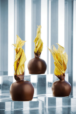 Dolci di cioccolato con alchechengi. Pasticceria artigianale, dessert gourmet.