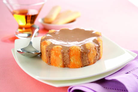 Dolce Charlotte di cioccolato su piatto bianco. Dessert goloso con savoiardi e crema al cioccolato.