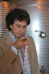 Alberto Galluffo assaggia olio. Degustazione olio extravergine d'oliva di qualità. Produttore di olio siciliano.