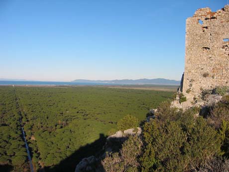 Parco della Maremma: vista panoramica sulla natura, torre antica, pineta e costa toscana.