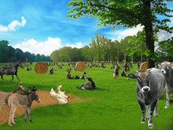 Parco delle Cascine, Firenze: animali al pascolo, persone, fieno, cielo azzurro. Relax all'aria aperta.
