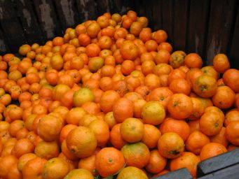 Agrumi di Calabria. Montagna di mandarini arancioni freschi, pronti per la vendita. Frutta di stagione.