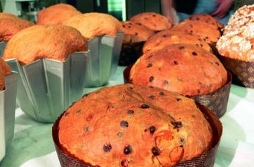 Panettoni artigianali appena sfornati. Dolci natalizi italiani con cioccolato e forme diverse.