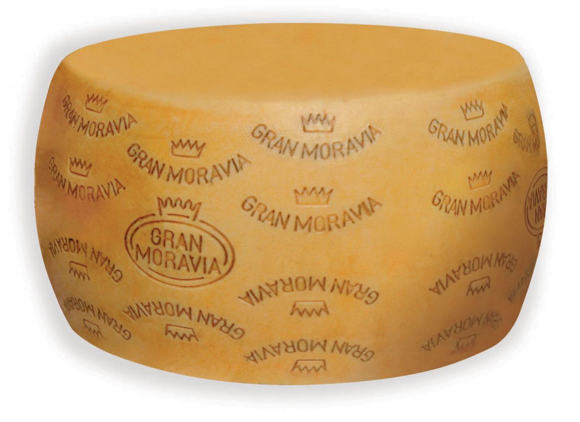 Forma intera di formaggio Gran Moravia. Prodotto caseario italiano.
