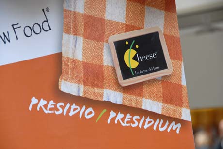 Presidio Slow Food: formaggio artigianale su tovagliolo a scacchi. Prodotti tipici italiani, eccellenze gastronomiche.