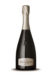 Bottiglia di Franciacorta Ronco Calino Nature 2007. Vino spumante italiano di alta qualità.