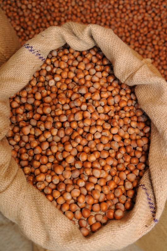 Sacco di nocciole. Nocciole fresche in sacco di iuta. Frutta secca, ingredienti naturali.