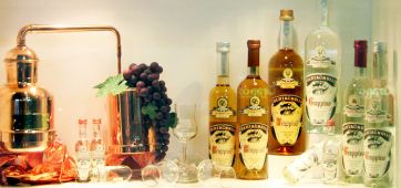Distilleria artigianale con bottiglie di grappa Bertagnolli e alambicco in rame. Degustazione grappa.