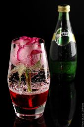 Rosa in bicchiere con Perrier. Acqua frizzante e fiore rosa, natura morta elegante.