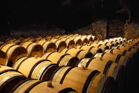 Cantina vinicola: file di botti di legno per l'affinamento del vino. Degustazione vini.