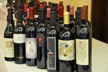 Bottiglie di vino Barbera d'Asti. Degustazione vini rossi piemontesi. Cantina vinicola italiana.