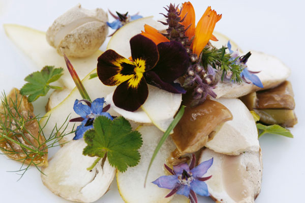 Composizione culinaria con funghi freschi, fiori eduli e erbe aromatiche. Cucina gourmet.