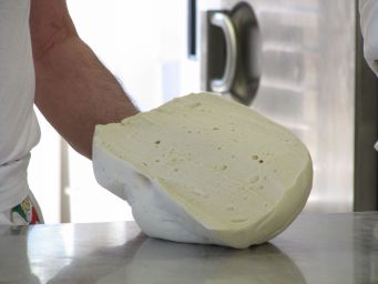 Lievito madre artigianale. Impasto lievitato per pane fatto in casa, pizza e dolci. Pasta madre fresca.