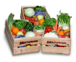 Cesti di frutta e verdura fresca. Prodotti biologici di stagione. Alimenti sani e nutrienti.