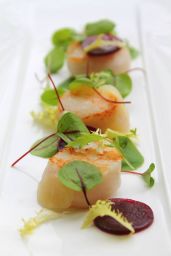 Capesante scottate con insalata fresca. Delizia culinaria, piatto gourmet. #capesante #gourmet #ristorante