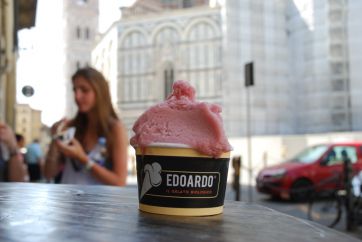 Sorbetto rosa artigianale Edoardo a Firenze. Gelato biologico, gusto fresco.
