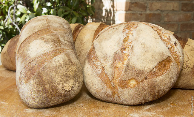 A tutto pane: il 6 aprile la festa per il pane fresco
