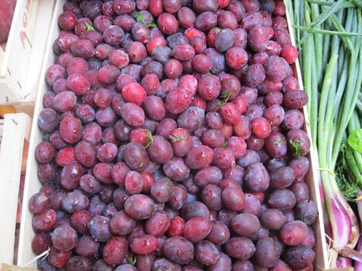 Prugne fresche in cassetta. Frutta di stagione, prodotti agricoli locali. Mercato contadino.