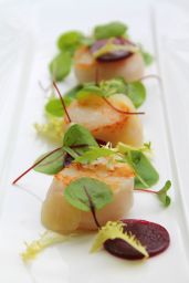 Capesante scottate con insalata di barbabietola rossa e germogli freschi. Ricetta gourmet.