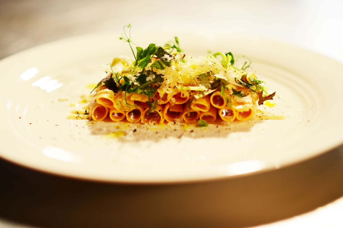 Piatto di garganelli con erbe fresche e formaggio grattugiato. Cucina italiana.