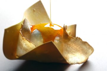 Gelato panna cotta con tartufo bianco d'Alba. Dessert gourmet, cucina italiana.