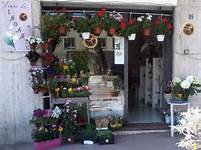 Negozio di fiori con esposizione colorata. Vasi e piante ornamentali in vetrina. Composizioni floreali per eventi.