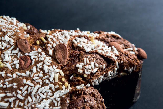 Colomba pasquale al cioccolato con mandorle e zuccherini. Dolce tradizionale di Pasqua.