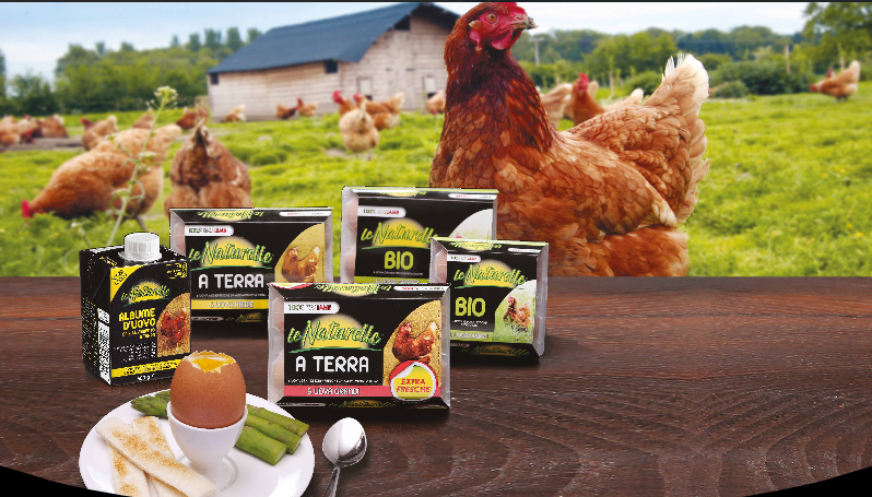 Uova fresche, confezioni e galline. Uova Le Naturelle: a terra e bio. Albume d'uovo.