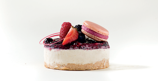 Cheesecake ai frutti di bosco con macaron. Dolce delizioso, ideale per dessert e pasticceria.