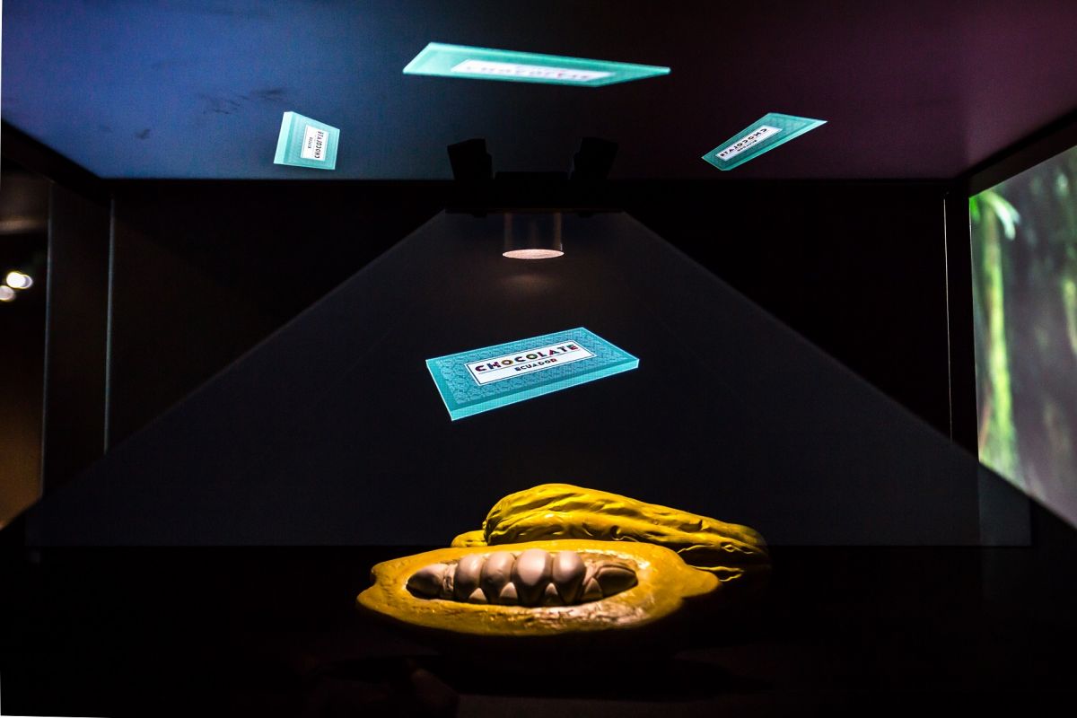 Baccelli di cacao e cioccolato. Esibizione interattiva sul cioccolato.