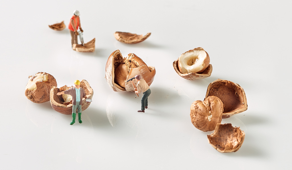 Miniature lavoratori che aprono nocciole. Simpatico, divertente, cibo, frutta secca.