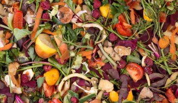 Scarti alimentari colorati: frutta, verdura, bucce. Concetto di spreco alimentare, compostaggio domestico.