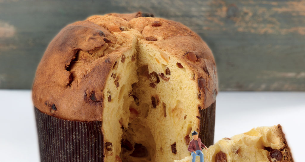 Panettone artigianale con uvetta, fetta tagliata e omino. Dolce lievitato tradizionale.