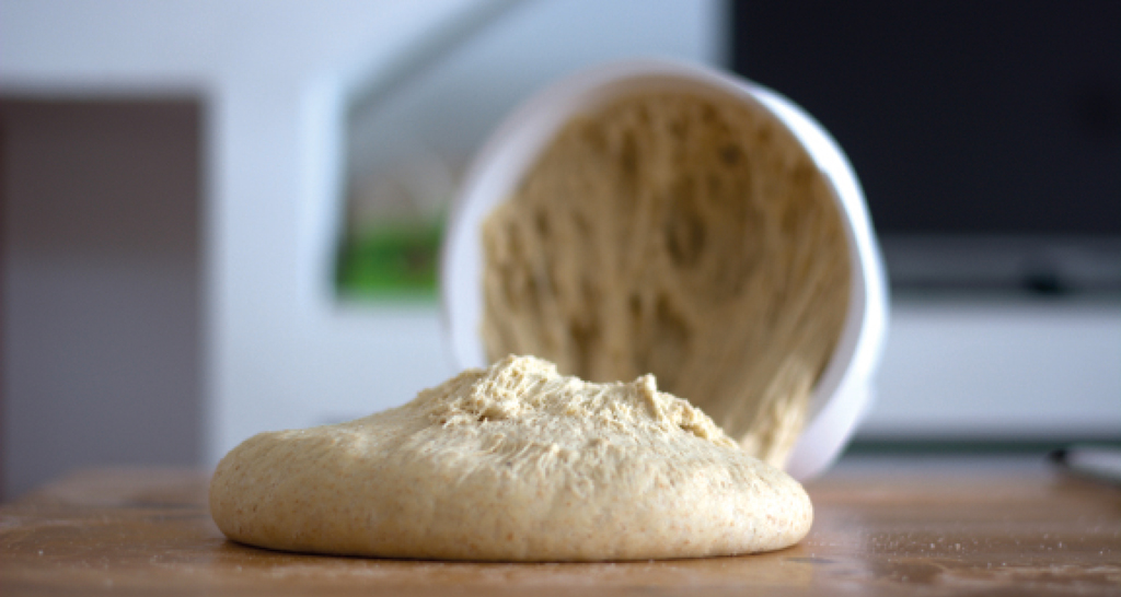 Pasta lievitata. Impasto per pane, pizza o dolci. Lievito madre.