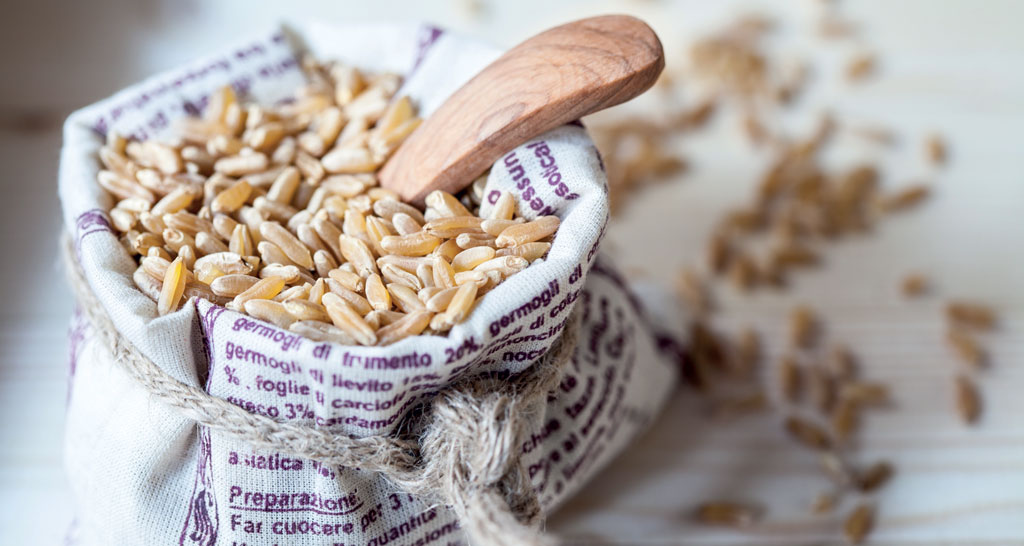 Farro dicocco in sacco di stoffa. Cereali antichi per farine speciali.