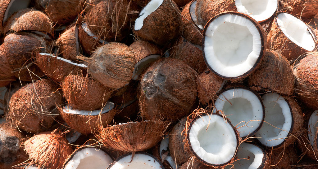 Attenzione alla carenza di noci di cocco