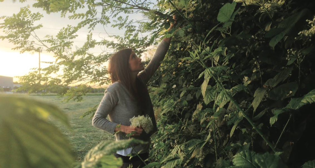 Donna raccoglie fiori di sambuco. Natura, raccolta, erbe spontanee, stile di vita sano.