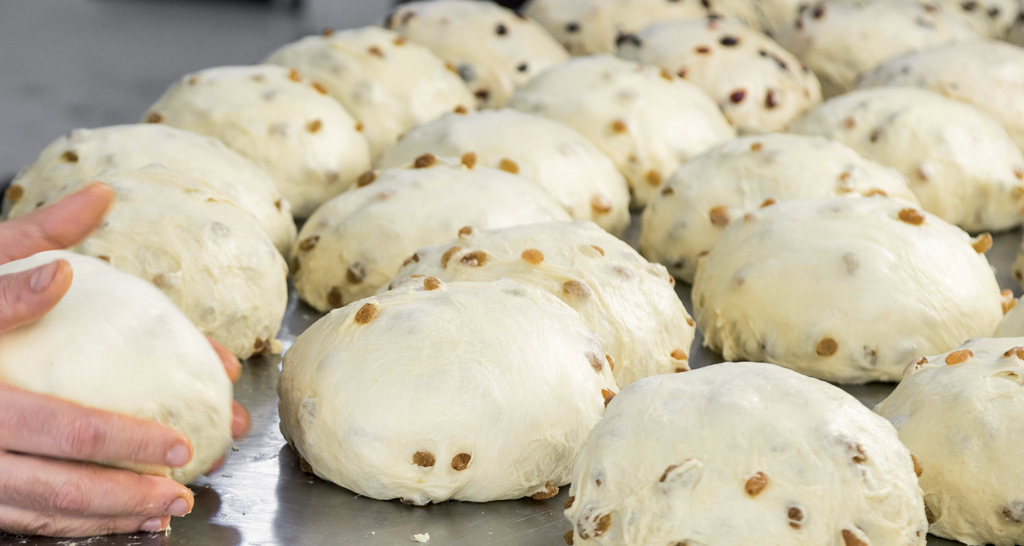 Impasto per panettone con uvetta. Palle di pasta lievitata con farina, pronte per la cottura.