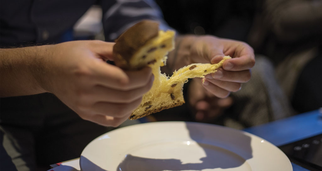 Mani che spezzano un panettone artigianale. Dolce natalizio italiano con uvetta e canditi.