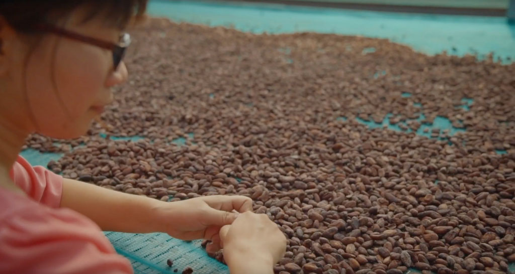 Cacao-trace, il progetto di sostenibilità di Puratos
