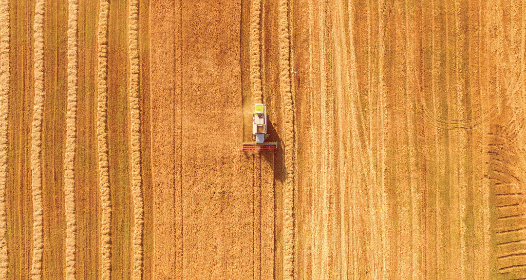 Raccolta del grano: vista aerea di mietitrebbia in campo di grano dorato. Agricoltura e natura.