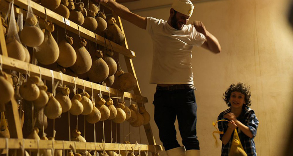 Stagionatura formaggio Caciocavallo. Produttore e bambino felici tra le forme di formaggio appese. Slow food italiano.