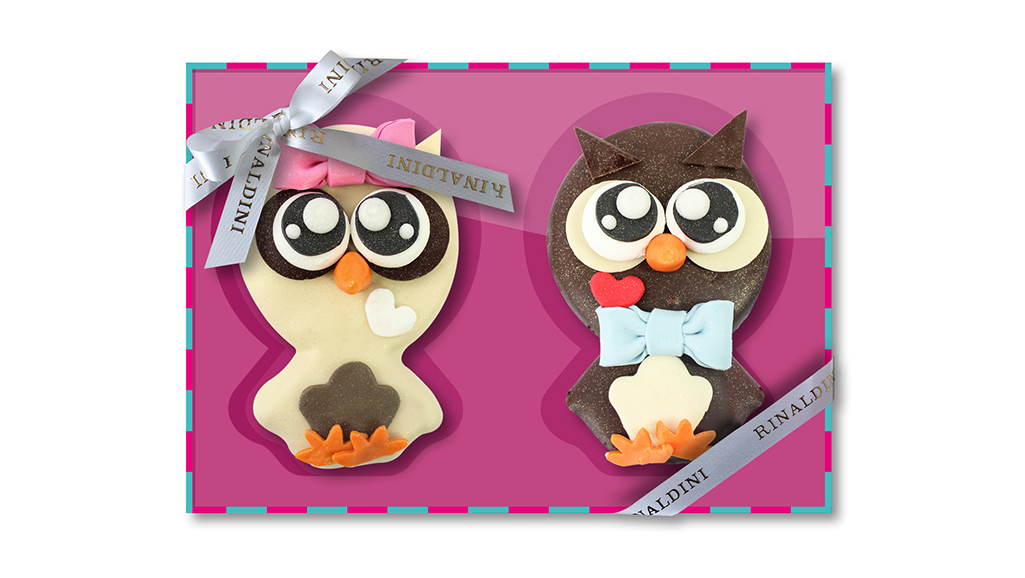 Coppia di biscotti gufo decorati. Biscotti San Valentino, idea regalo originale.