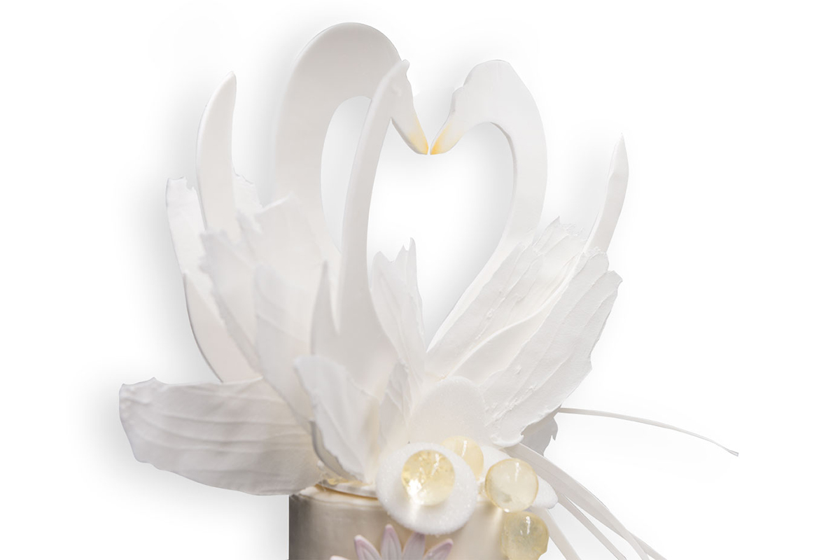 pastigliaggio-cigni-casotti