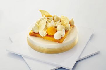 Torta Clementina con glassa, panna e decorazioni di cioccolato bianco. Dessert elegante.