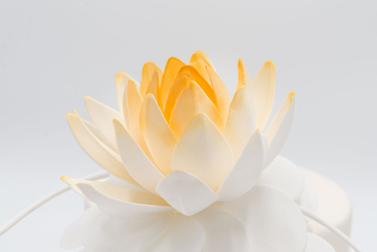 pastigliaggio-fiore-loto-casotti