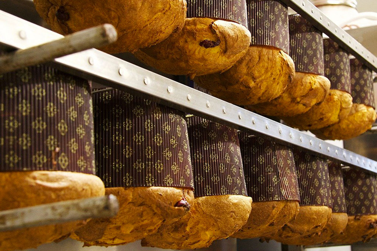 Panettoni artigianali capovolti, lievitazione naturale. Dolce natalizio italiano.