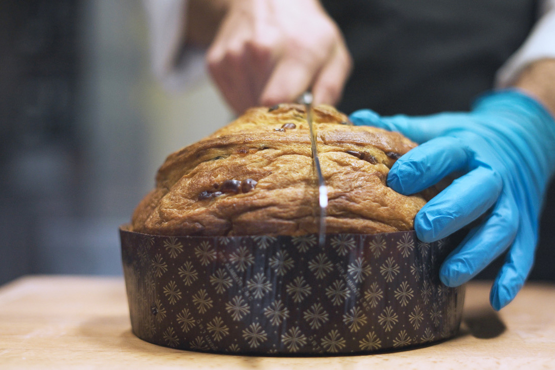 Panettone artigianale Villa Terzaghi. Mani con guanti tagliano il dolce tipico milanese.