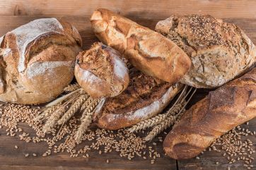 Assortimento di pane artigianale con spighe e chicchi di grano. Selezioni Italiane Mondial du Pain.