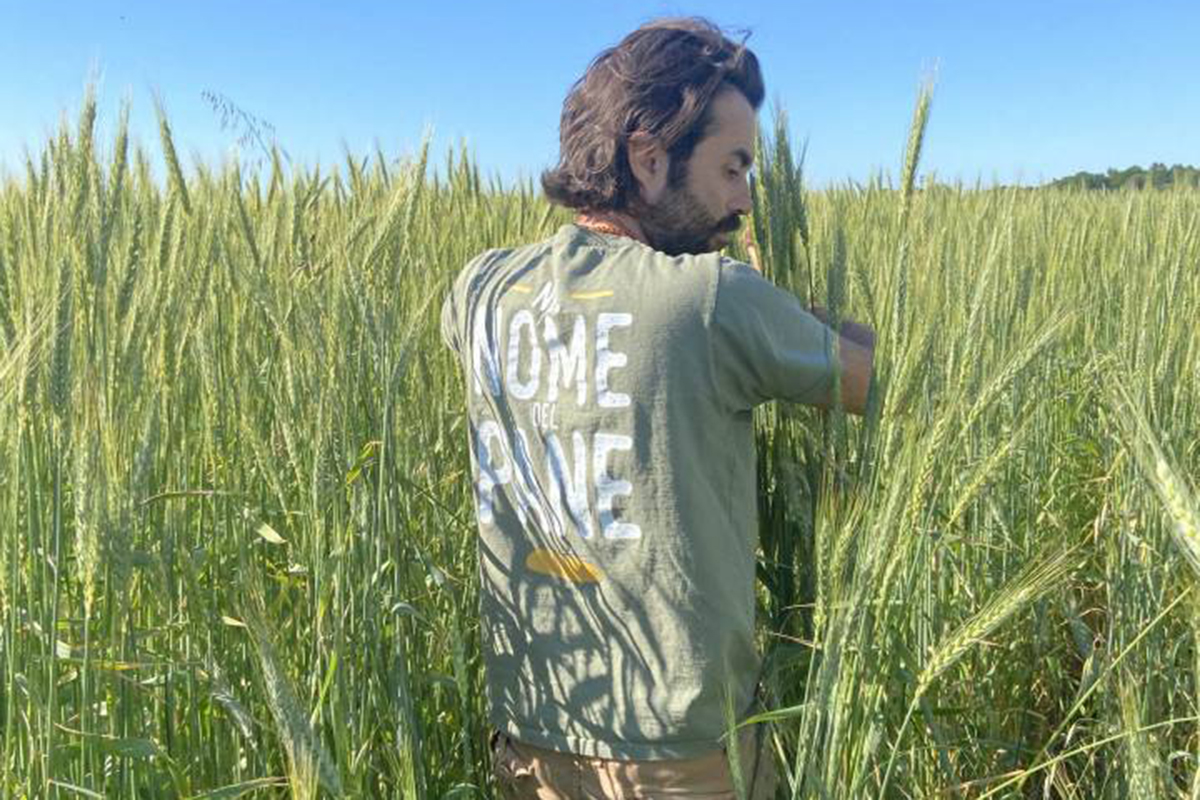 Fabio Cappelletti, agricoltore sostenibile in campo di grano. Sostenibilità ambientale e sociale.